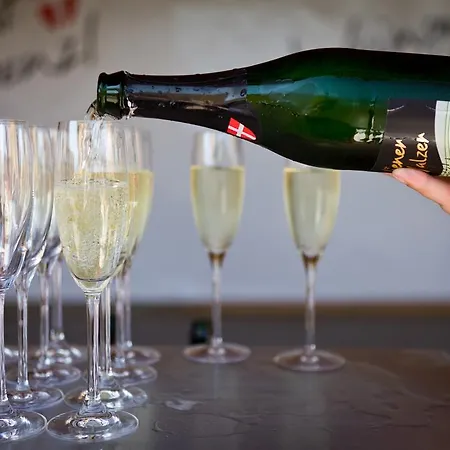 Familie Hopfeld - Dreikoenigshof 4* Stockerau