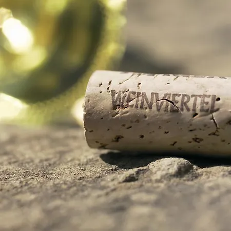 Hotel Familie Hopfeld - Dreikoenigshof Stockerau