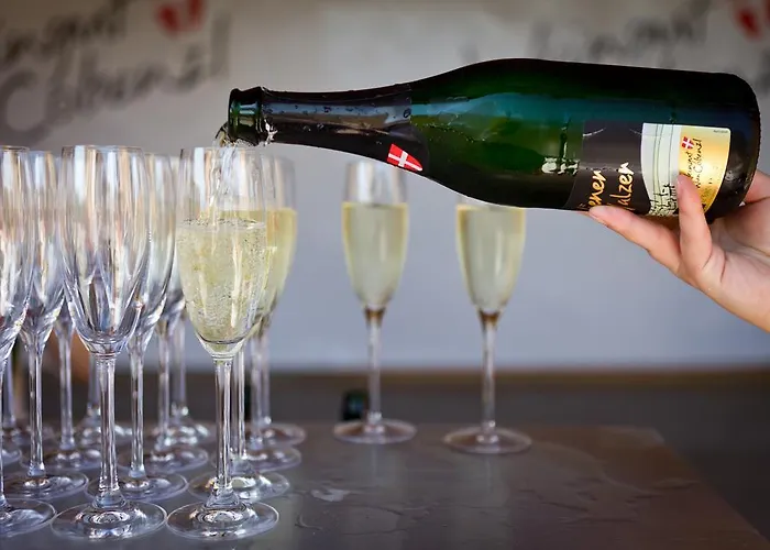 Familie Hopfeld - Dreikoenigshof 4* Stockerau