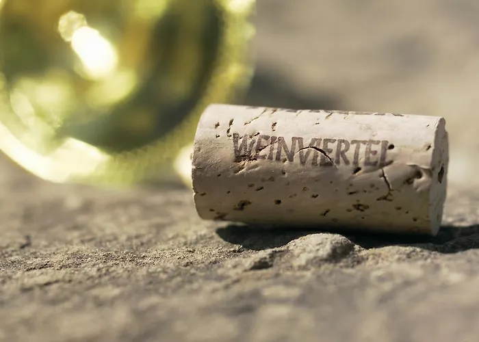 酒店 Familie Hopfeld - Dreikoenigshof 施托克劳