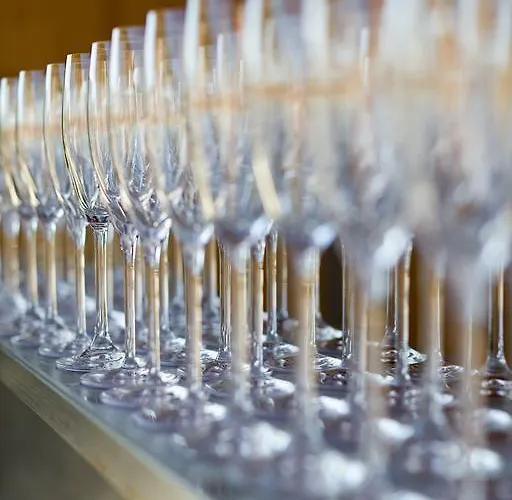 Hotel Familie Hopfeld - Dreikoenigshof Stockerau