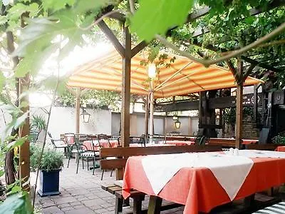 Hotel Familie Hopfeld - Dreikoenigshof Stockerau